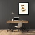 thumbnail image 4 of John Obadiah Westwood 19x24 Black Modern Framed Museum Art Print Titled - The Cabinet of Oriental Entomology Pl XVII (1848), 4 of 5