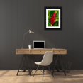 thumbnail image 3 of Engelbrecht, Lisa S. 17x24 Black Ornate Wood Framed with Double Matting Museum Art Print Titled - Red Ginger plant, 3 of 4