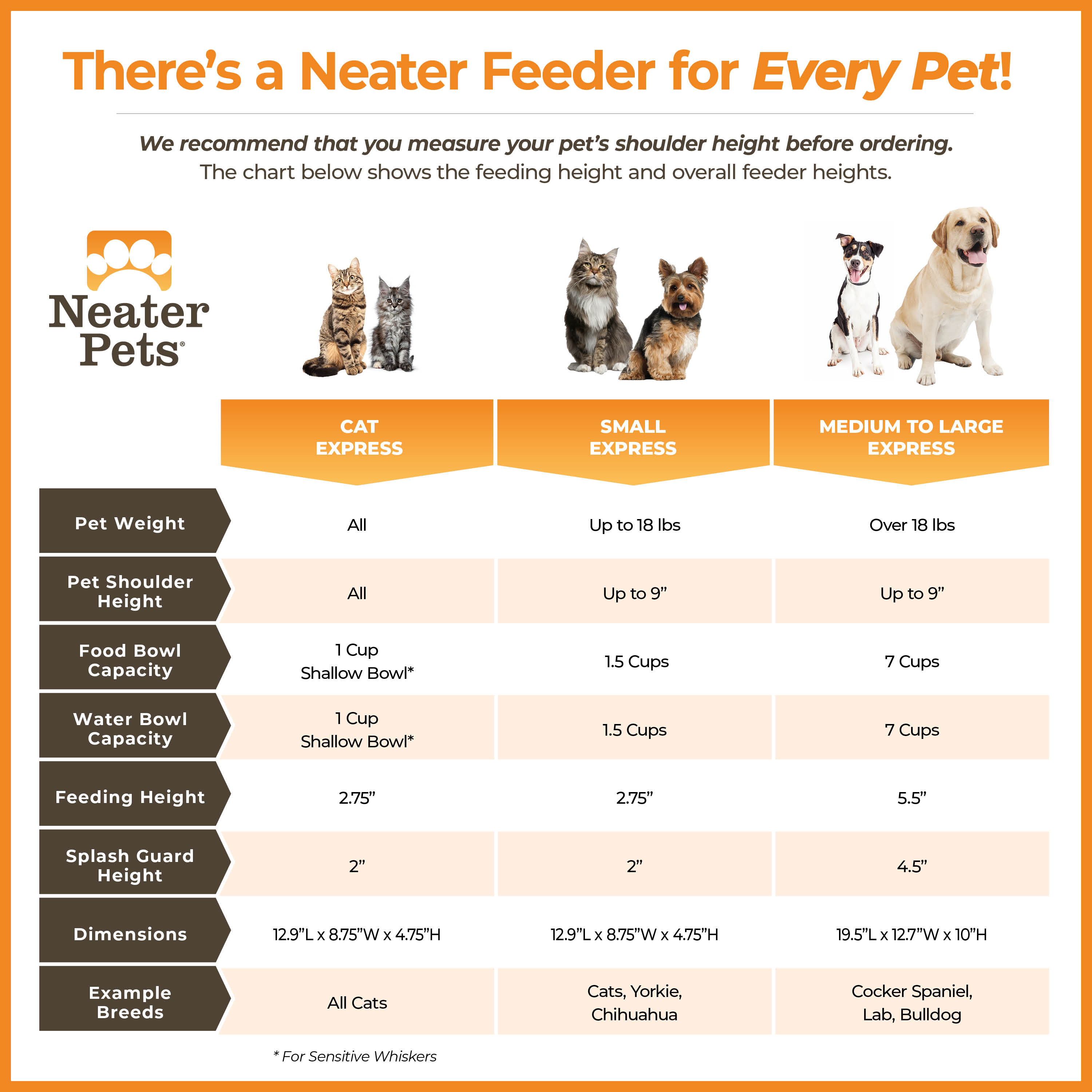 Neater Pet Brands Neater Feeder Express Mess-Proof Bowl photo 8