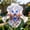 D, variant on Superior Iris For Cultivating-Perennial Adornment-Great for Flower Borders-Courtyard Ornament(Non-Artificial)