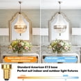 thumbnail image 4 of Bombillas LED GoBright, regulables, E12, tipo candelabro, 4 W, 460 lm, 4 of 7