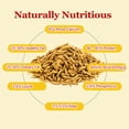 thumbnail image 2 of Chicken Treats GOLDWORMS, larvas secas de mosca solida negra, 10 kg, 2 of 7