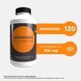 thumbnail image 2 of Levadura + B + Probióticos - Suplemento con 120 tabletas, 2 of 5