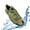 Camo Green, variant on LAVRA Women's Drawstring Aqua Sock Adjustable Water Shoe Beach Slip On