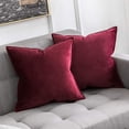 thumbnail image 1 of Cterwk Paquete de 2 Fundas de Almohada Cuadradas de Terciopelo Suave Funda de Cojín Cuadrada para Cama Sofá Banco, 24 x 24 Pulgadas, 1 of 7