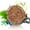 B, variant on EGNMCR Darkening Shampoo Bar New Polygonum Essence Hair Darkening Soap Natural Mild lush lush