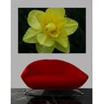 thumbnail image 2 of Guernsey Flower Wall Decal, 2 of 2