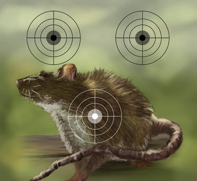 Crosman Air Gun Pellet Trap and Targets. 0.5lbs