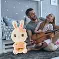 thumbnail image 7 of Bpyeka Kids Toys Cute Fruit Bunny Plush Toy Peach Rabbit Ragdoll Girl Holiday Birthday Gift, 7 of 7