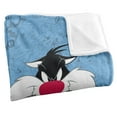 thumbnail image 3 of Looney Tunes Blanket, 50'x60', Sylvester Character Silky Touch Super Soft Throw, 3 of 6