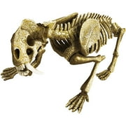 MEGA Brands MagNext Magna-Bones - Saber Tooth