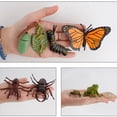 thumbnail image 3 of Flmtop Jouet Éducatif Réaliste Conception d'Animaux Cycle de Croissance Simulation Plastique Enfants Apprendre Miniature pour Enfants, 3 of 8