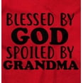 thumbnail image 2 of Blessed By God Spoiled By Grandma Toddler Boy Girl T Shirt Infant Toddler Brisco Brands 2T, 2 of 6