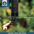 thumbnail image 3 of Droll Yankees YCPT-360-M Squirrel Proof Tipper Collapsing Tray Bird Feeder, 5-Pounds, Midnight Black, 3 of 8