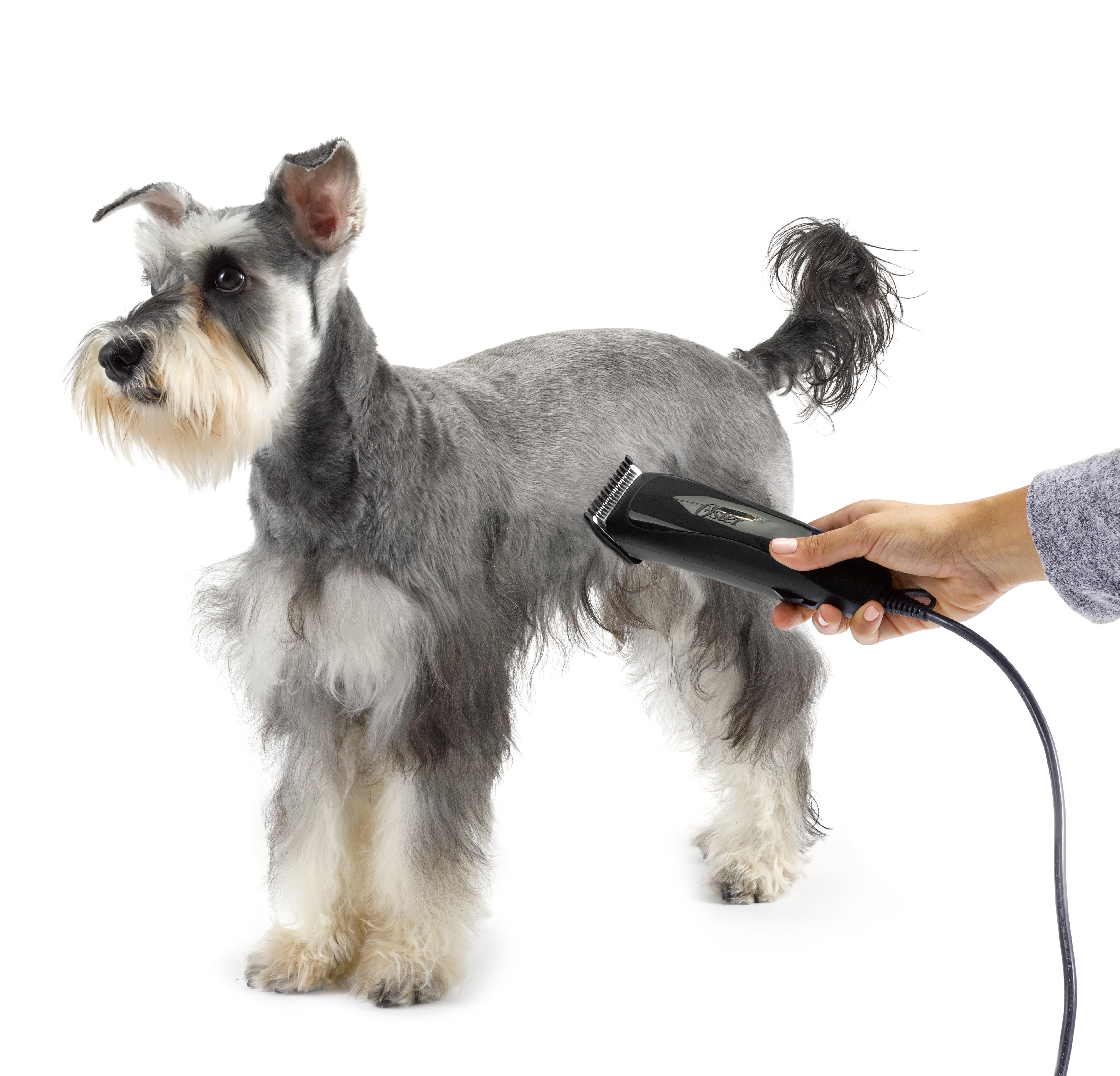 Oster calm clips clearance less stress grooming kit