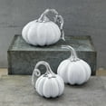 thumbnail image 3 of Mariposa Ceramic Heirloom Small Pumpkin with Metal Stem - 6371, 3 of 4
