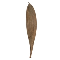 Vickerman 6-12" Natural Palm Paddles, Includes 32-37 pieces, Dried