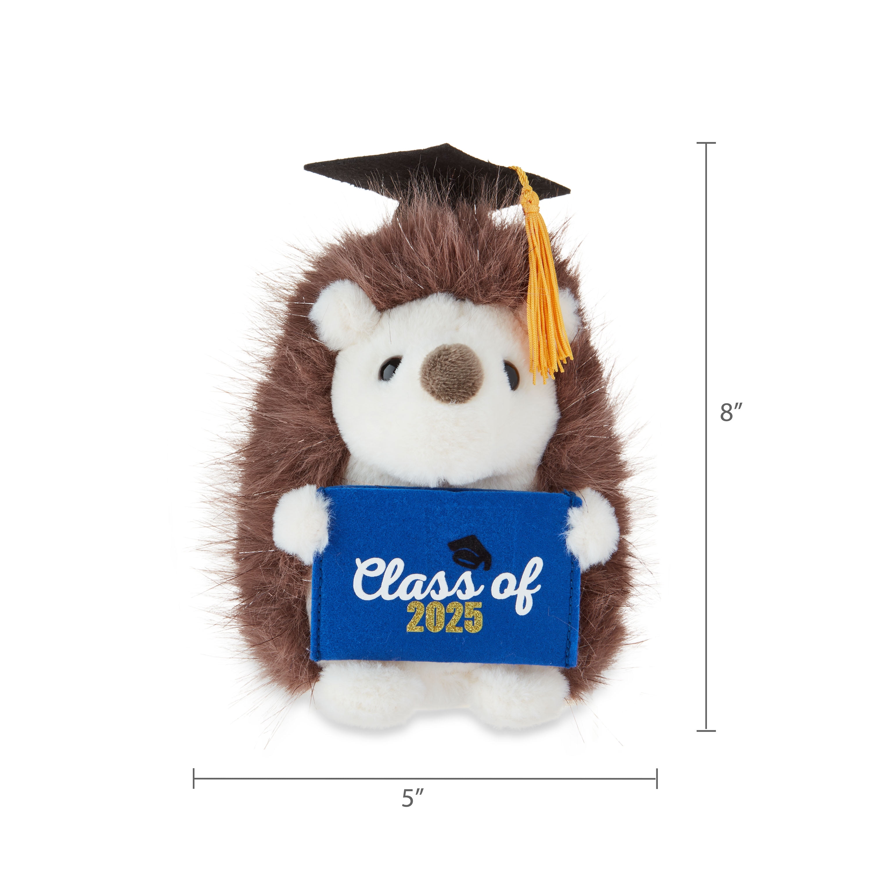 Way To Celebrate Graduation Small Brown Hedgehog Plush with Gift