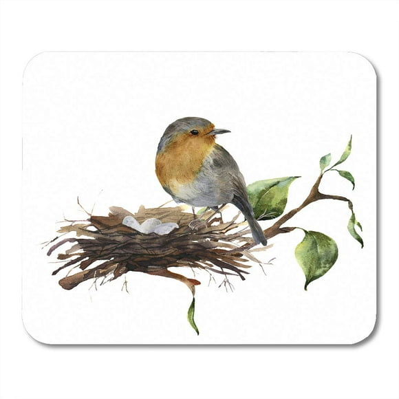 POGLIP Orange Spring Watercolor Robin Sitting on Nest Eggs Hand Bird and Branch of Wood Nature Red White Mousepad Mouse Pad Mouse Mat 9x10 inch