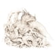 thumbnail image 5 of Libro de RPG de expansión Free League Forbidden Lands Book of Beasts, 5 of 7