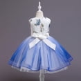 thumbnail image 3 of XZNGL Robe de Princesse Sans Manches en Dentelle pour Tout-Petit Fille, Robe de Fête, Vêtements de Cosplay, 3 of 9
