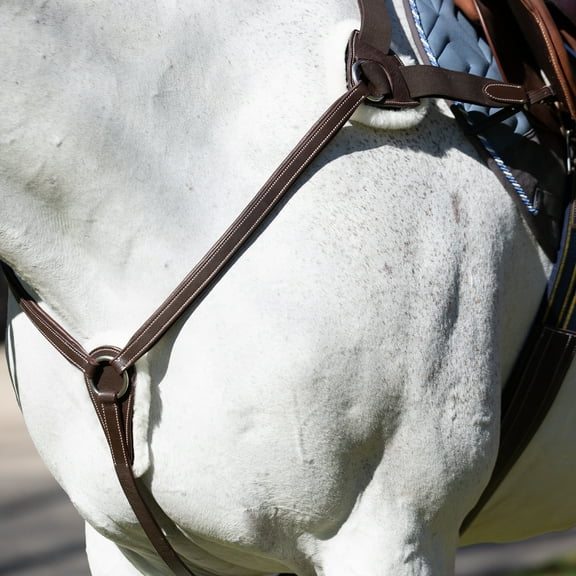 Equinavia Saga 5-point Breastplate