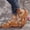 Brown, variant on Orthotic Slide Sandals For Women With Arch Support, Thick Soled Exposed Toe Embroidery Home Slippers, Perfect For Plantar Fasciitis Relief,Summer Going Out Shoes