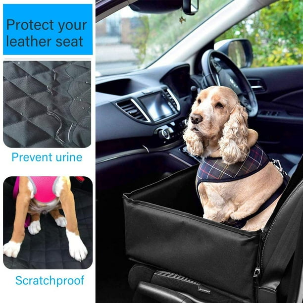 Dog blanket for backseat of car top