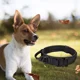 thumbnail image 4 of Xl Collar De Perro Táctico Ajustable Con Hebilla De Metal, 4 of 6