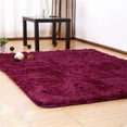thumbnail image 2 of fastboy Pleuche Non-slip Bedroom Carpet Door Rug Dustproof Plush Bath Floor Mat, 2 of 2