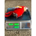 thumbnail image 3 of Interactive Talking Parrot Toy with Voice Recording Feature for Realistic and Cuddling, 3 of 6