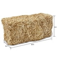 thumbnail image 5 of Straw Bale Decoration, Natural, 8" x 8" x 20", Fall by Way To Celebrate, 5 of 5