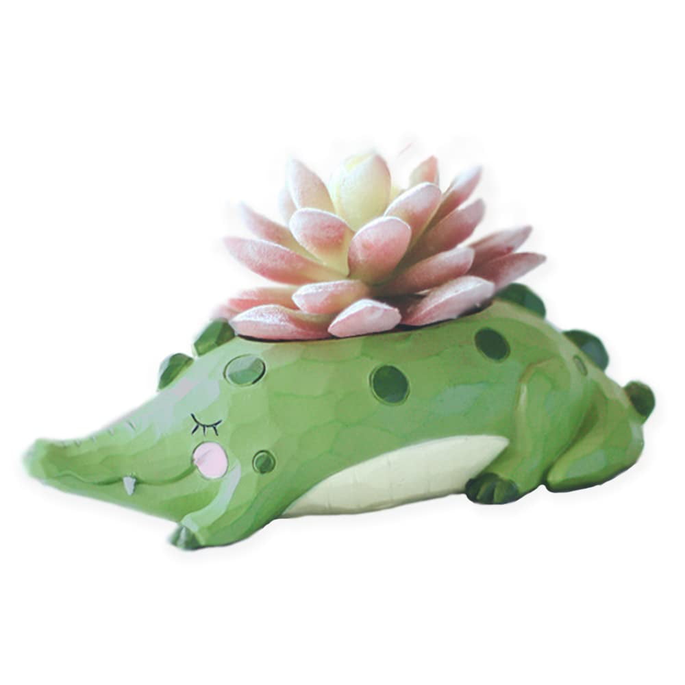Cute Animal Cactus Flower Container Details about   Ceramic Owl Planter Pot with Drainage Tray 