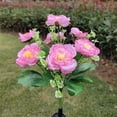 thumbnail image 3 of Bearachild Luces de flores con energía solar, luz solar para césped de rosas, luces decorativas para césped al aire libre, patio y jardín Iluminación y accesorios Rosa, 3 of 6