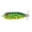 MultiColor, variant on PR HEDDON Baby Torpedo Topwater G Finish Shad 2 1/2" 3/8 oz.