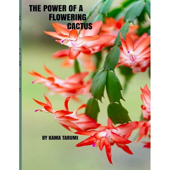 The Power of a Flowering Cactus, (Paperback)