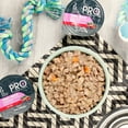 thumbnail image 4 of (3 pack) Pure Balance Pro+ Small Breed Beef Stew Wet Dog Food, 3.5 oz Cup, 4 of 13