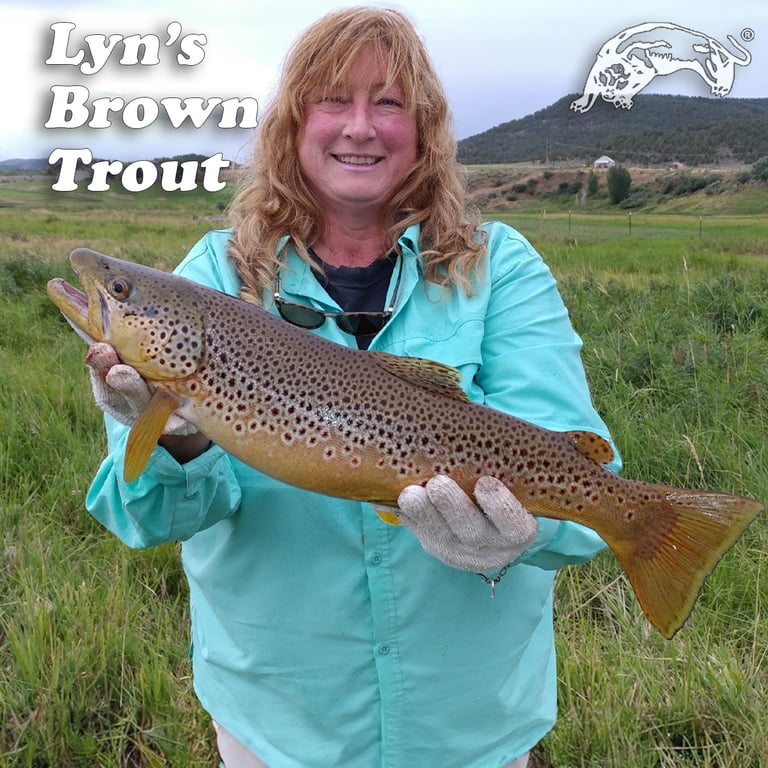 brown trout best lure – PAN Handmade LURES They are sure to catch you more trout Brown Trout Best Setup For
