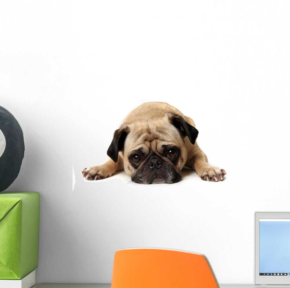 Cute Pug Puppy Dog Wall Smash Decal Sticker 3D Bedroom Vinyl Mural Art 