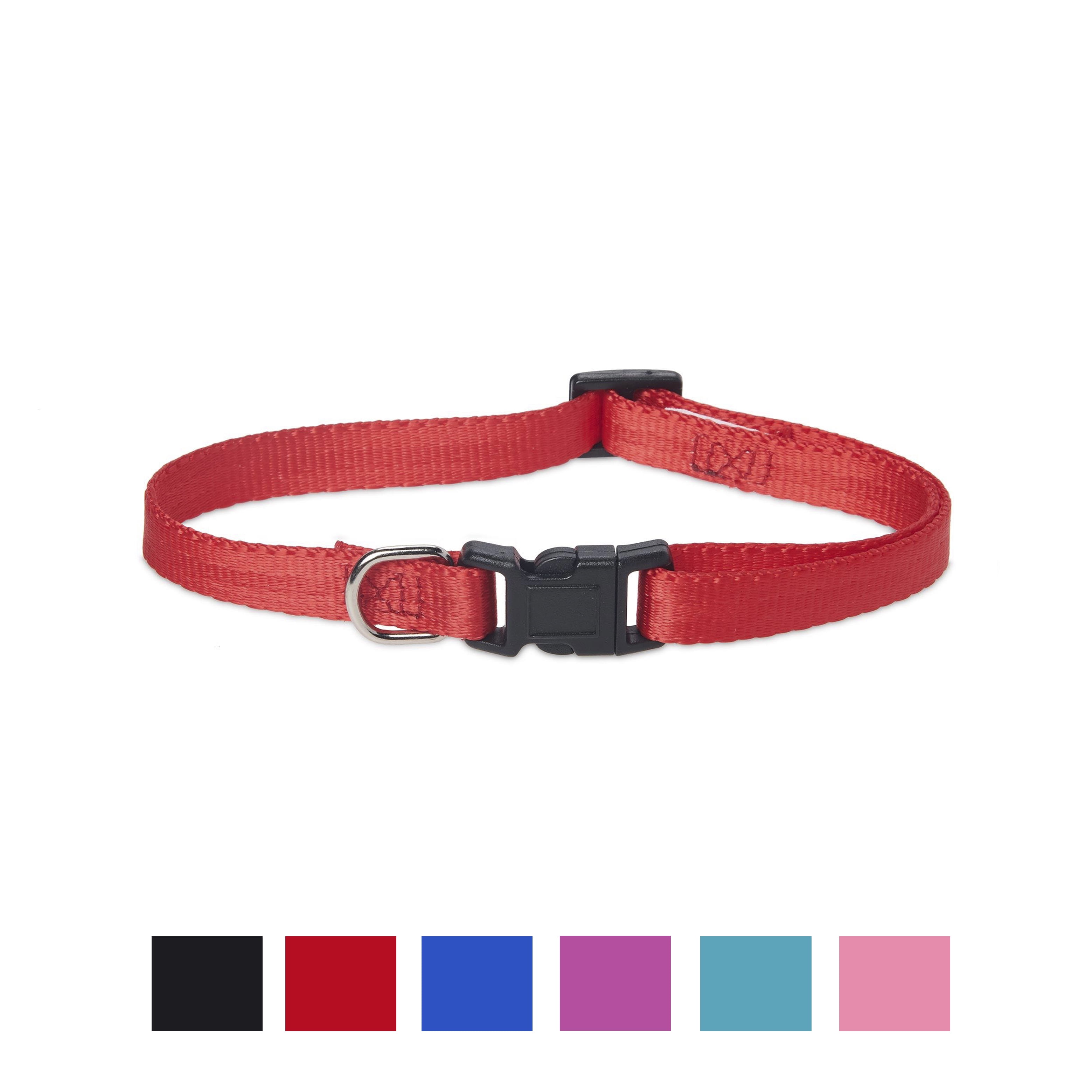 Vibrant Life Solid Nylon Dog Collar, Red, Small