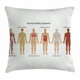 thumbnail image 1 of Human Anatomy Throw Pillow Cushion Cover, Human Body with Central Nervous Network Skeleton and Neurons Image Muscle System, Decorative Square Accent Pillow Case, 24 X 24 Inches, Multi, by Ambesonne, 1 of 2