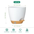 thumbnail image 3 of FIASON 5 Pack 6 Inch White with Brown Self Watering Plant Pots, with Watering Lip, Drainage Holes & Removable Saucer, Flower Planters for Indoor Outdoor Garden House Plants, 3 of 8