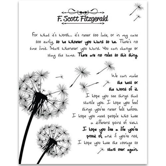 For What It's Worth - F. Scott Fitzgerald - 11x14 Unframed Art Print - Great Gift for Book Lovers
