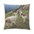 thumbnail image 2 of Ahgly Company Animals Llama Coussin d'Intérieur, 18 Pouces par 18 Pouces, 2 of 6