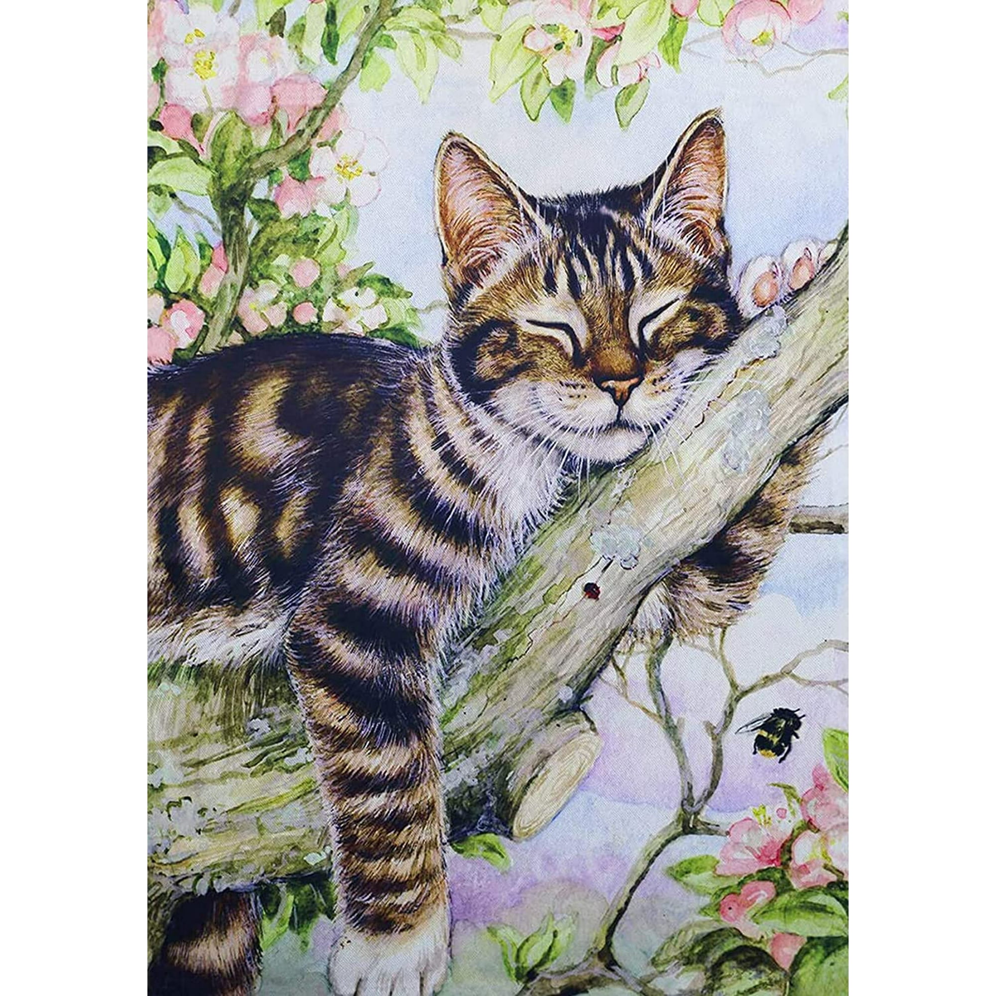 DIY Diamond Painting Kits for Adults, Round Full Drill Striped Cat Diamond  Painting Animals Diamond Art Kits Gem Painting Crafts for Home Wall Decor  12x16 Inch (Cat) | Walmart Canada