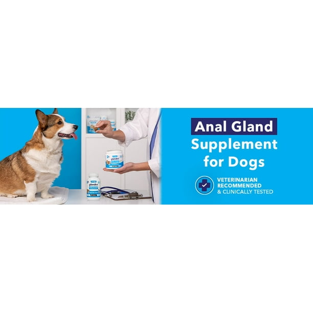Glandex Anal Gland Soft Chew Treats with Pumpkin for Dogs Chews