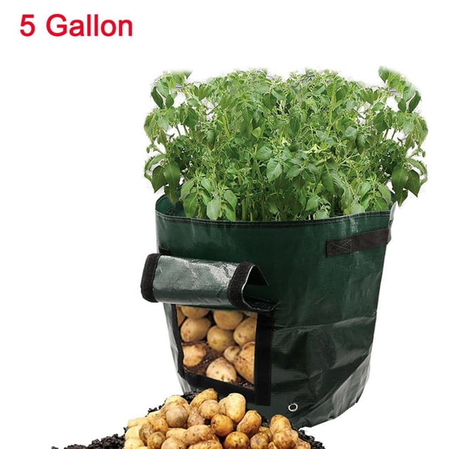Matsuzay GAL Potato Grow Planter Contenedor Bolsa Bolsa Plant Growing Pot Ventana lateral Jardín y Patio No.1 Matsuzay HA026182-01