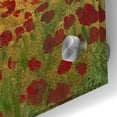 thumbnail image 2 of Epic Art 'Field of Poppies II' by Tim O'Toole, Acrylic Glass Wall Art, 36"x36", 2 of 6