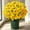 C, variant on 5 Bundles Artificial Sunset Chrysanthemum for Outdoor Decoration, Fade Proof UV Resistant Faux Flowers, Realistic Fake Chrysanthemum Outdoor Plants, Indoor Outdoor Faux Greenery