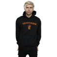 thumbnail image 2 of Harry Potter Mens Gryffindor Crest Hoodie, 2 of 3